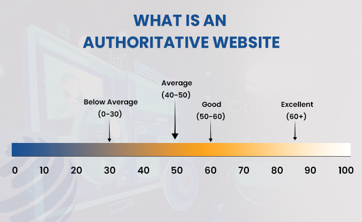 How to Build and Leverage Authoritative Websites in a Crowded Niche